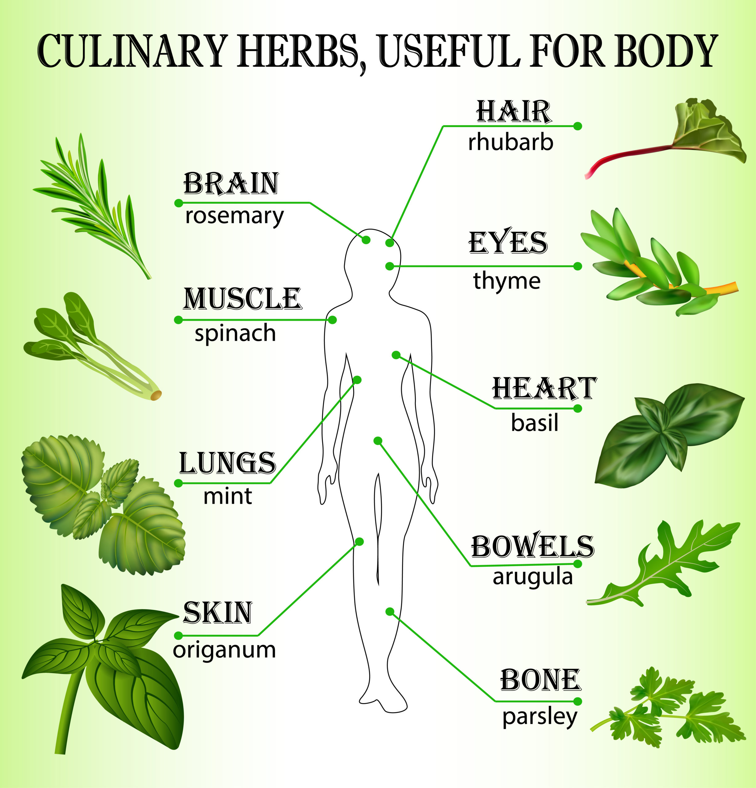 Herbs that promote good health